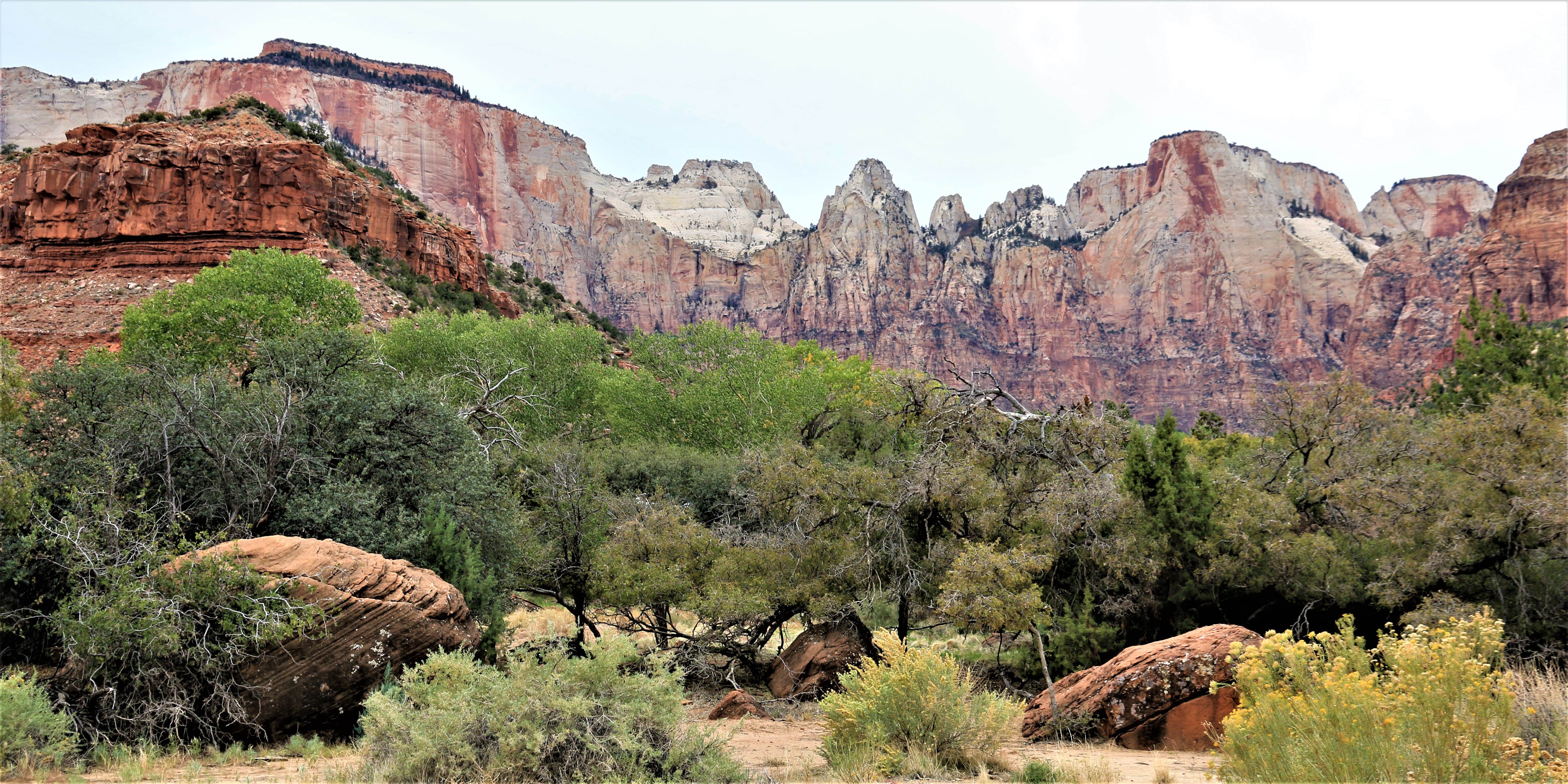 Zion NP